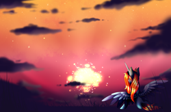 Size: 3970x2602 | Tagged: safe, artist:minelvi, oc, oc only, alicorn, pony, alicorn oc, cloud, high res, horn, outdoors, solo, sunset, wings