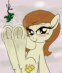Size: 3400x4000 | Tagged: safe, artist:littlenaughtypony, oc, oc only, oc:plumb honey, pony, christmas, dirty hooves, fetish, frog (hoof), holiday, hoof fetish, looking at you, mistleholly, smelly, smelly hooves, smiling, solo, stinky hooves, sweat, underhoof