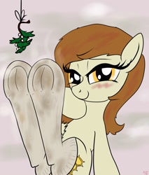 Size: 3400x4000 | Tagged: safe, artist:littlenaughtypony, oc, oc only, oc:plumb honey, pony, christmas, clothes, dirty socks, fetish, frog (hoof), holiday, hoof fetish, looking at you, mistleholly, smelly, smelly socks, smiling, socks, solo, stinky socks, sweat, sweaty socks, underhoof, visible stench