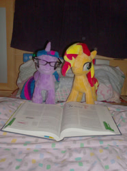 Size: 540x725 | Tagged: safe, artist:fluidty, artist:onlyfactory, sunset shimmer, twilight sparkle, alicorn, pony, unicorn, g4, blanket, book, book bed, bootleg, glasses, irl, photo, pillow, plushie