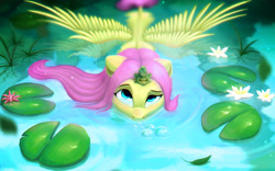 Size: 2939x1833 | Tagged: safe, artist:itssim, fluttershy, frog, pegasus, pony, g4, bubble, cute, eyebrows, female, high res, in water, lilypad, looking up, mare, outdoors, partially submerged, raised eyebrow, shyabetes, sitting on head, solo, spread wings, swamp, water, waterlily, wet, wet mane, wings