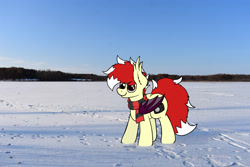 Size: 3000x2000 | Tagged: safe, artist:aaathebap, oc, oc only, oc:aaaaaaaaaaa, bat pony, pony, bat pony oc, bat wings, clothes, cute, high res, irl, male, real life background, scarf, snow, solo, tail, wings, winter