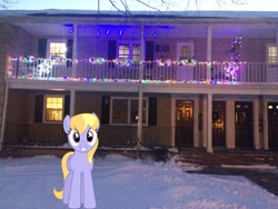 Size: 3264x2448 | Tagged: safe, artist:bluemeganium, artist:topsangtheman, cloud kicker, pegasus, pony, g4, christmas, christmas lights, high res, holiday, house, irl, looking at you, photo, ponies in real life, snow, solo