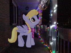 Size: 3272x2456 | Tagged: safe, artist:topsangtheman, gameloft, cloud kicker, pegasus, pony, g4, augmented reality, christmas, christmas lights, high res, holiday, irl, photo, ponies in real life, solo