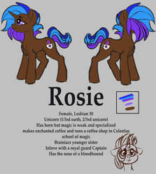 Size: 1920x2154 | Tagged: safe, artist:brainiac, derpibooru exclusive, oc, oc only, oc:rose sniffer, oc:rosie, pony, unicorn, female, mare, reference sheet, solo