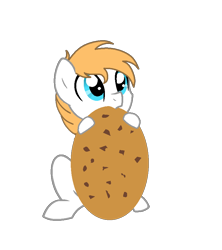 Size: 800x900 | Tagged: safe, artist:ngthanhphong, oc, oc only, pony, cookie, food, giant cookie, looking up, male, nom, simple background, small pony, solo, stallion, transparent background