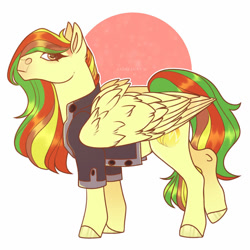 Size: 900x900 | Tagged: safe, artist:sadelinav, oc, oc only, oc:ember, pegasus, pony, clothes, female, jacket, mare, solo