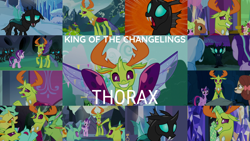 Size: 1976x1111 | Tagged: safe, edit, edited screencap, editor:quoterific, screencap, arista, clypeus, cornicle, daisy, flower wishes, frenulum (g4), lokiax, meadow song, ocellus, soupling, starlight glimmer, thorax, trixie, twilight sparkle, yona, alicorn, changedling, changeling, yak, celestial advice, g4, school daze, the times they are a changeling, to change a changeling, to where and back again, triple threat, uprooted, disguise, disguised changeling, king thorax, rock, rockellus, twilight sparkle (alicorn)