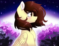 Size: 1024x809 | Tagged: safe, artist:whitehershey, oc, oc only, oc:white hershey, pegasus, pony, blushing, female, solo