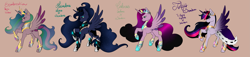 Size: 5257x1200 | Tagged: safe, artist:minelvi, oc, oc only, alicorn, pony, alicorn oc, base used, cape, clothes, female, horn, mare, offspring, parent:king sombra, parent:princess cadance, parent:princess celestia, parent:princess luna, parent:twilight sparkle, parents:celestibra, parents:lumbra, parents:somdance, parents:twibra, raised hoof, simple background, wings