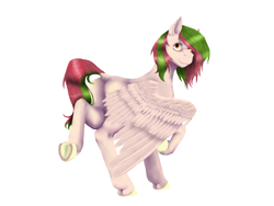 Size: 6000x4500 | Tagged: safe, artist:evgenya, oc, oc only, pegasus, pony, female, pegasus oc, simple background, solo, wings