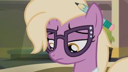 Size: 1920x1080 | Tagged: safe, screencap, grace manewitz, earth pony, pony, g4, rarity takes manehattan, female, glasses, mare, solo