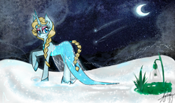 Size: 1700x1000 | Tagged: safe, artist:nayukiminase, pony, unicorn, braid, braided tail, elsa, eyeshadow, frozen (movie), looking back, makeup, moon, night, ponified, raised hoof, shooting stars, snow, snowdrop (flower), solo, tail