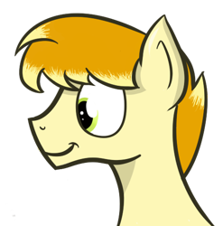 Size: 488x493 | Tagged: safe, artist:lazymort, oc, oc only, oc:mort elstar, pony, bust, simple background, solo, transparent background