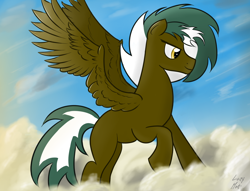 Size: 1290x984 | Tagged: safe, artist:lazymort, oc, oc only, oc:kona, pegasus, pony, cloud, flying, male, sky, solo, stallion