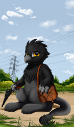 Size: 3000x5159 | Tagged: safe, artist:pridark, oc, oc only, oc:jim, griffon, commission, glasses, griffon oc, gun, handgun, high res, looking at you, male, outdoors, power line, revolver, shoulder bag, sitting, smiling, smiling at you, solo, weapon