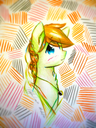 Size: 1920x2560 | Tagged: safe, artist:stardust0130, oc, oc only, oc:swift stride, earth pony, pony, braided ponytail, bust, male, solo, stallion, traditional art