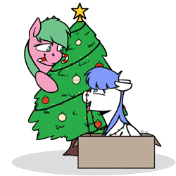 Size: 2200x2200 | Tagged: safe, artist:jellysketch, oc, oc only, oc:pine berry, oc:snow pup, earth pony, pegasus, pony, behaving like a dog, box, candy, candy cane, christmas, christmas lights, christmas tree, commission, female, floppy ears, food, happy, high res, holiday, looking at each other, looking down, looking up, mare, mouth hold, ornament, panting, simple background, sitting, smiling, stars, tongue out, transparent background, tree