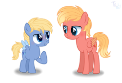 Size: 1280x870 | Tagged: safe, artist:purplepotato04, oc, oc only, oc:frenzy flame, oc:frosty flame, pegasus, pony, colt, male, simple background, teenager, transparent background
