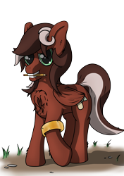Size: 3541x5016 | Tagged: safe, artist:playful wings, oc, oc only, oc:red treasure, pegasus, pony, bracelet, chest fluff, gift art, jewelry, mouth hold, pegasus oc, pencil, simple background, solo, transparent background, wings