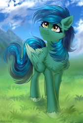 Size: 2500x3700 | Tagged: safe, artist:hakaina, oc, oc only, oc:distant skies, pegasus, pony, chest fluff, commission, high res, looking up, scenic background, solo, two toned mane, two toned wings, unshorn fetlocks, wings, ych result