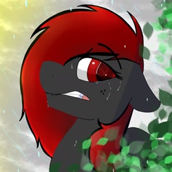 Size: 1640x1640 | Tagged: safe, artist:dicemarensfw, oc, oc only, oc:dicemare, pegasus, pony, black and red mane, eye lashes, female, floppy ears, grey oc, long hair, mare, mouth, photo, rain, solo, teeth, wings