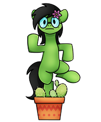 Size: 1240x1500 | Tagged: safe, artist:sugar morning, oc, oc only, oc:prickly pears, cactuar, cactus, flower, flower in hair, glasses, looking at you, mole, rule 63, simple background, stare, transparent background, vase
