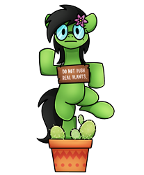 Size: 1240x1500 | Tagged: safe, artist:sugar morning, edit, oc, oc only, oc:prickly pears, cactuar, cactus, flower, flower in hair, glasses, looking at you, mole, sign, simple background, stare, transparent background, vase