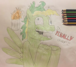 Size: 1280x1131 | Tagged: safe, artist:didgereethebrony, oc, oc only, oc:didgeree, pegasus, pony, fire, insanity, messy mane, pencil drawing, rip 2020, solo, traditional art, trash can