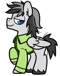 Size: 800x1000 | Tagged: safe, artist:paperbagpony, oc, oc:silver circuit, pegasus, pony, 2021 community collab, derpibooru community collaboration, clothes, male, pegasus oc, shirt, simple background, transparent background, unshorn fetlocks, wings