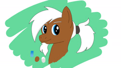 Size: 1920x1080 | Tagged: safe, artist:bassflame, oc, oc only, oc:bassflame, earth pony, pony, bust, facial hair, goatee, male, ponytail, portrait, solo