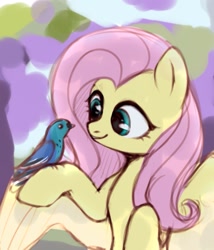 Size: 923x1080 | Tagged: safe, artist:laymy, fluttershy, bird, pegasus, pony, g4, bust, colored sketch, cute, female, holding, looking at something, mare, raised hoof, shyabetes, sketch, smiling, solo, spread wings, that pony sure does love animals, three quarter view, wings