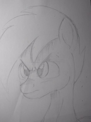 Size: 472x630 | Tagged: safe, artist:shadowingartist, oc, oc only, oc:shadowing, pegasus, pony, angry, black and white, grayscale, incomplete, mane, monochrome, solo, wip