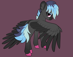 Size: 2800x2200 | Tagged: safe, artist:loryska, oc, oc only, pegasus, pony, high res, male, simple background, solo, stallion