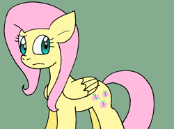 Size: 910x672 | Tagged: safe, artist:cmara, fluttershy, pegasus, pony, g4, female, green background, mare, raised eyebrow, simple background, solo