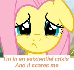 Size: 1000x944 | Tagged: safe, fluttershy, pegasus, pony, g4, crying, existential crisis