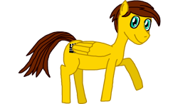 Size: 1366x800 | Tagged: safe, artist:sb1991, derpibooru exclusive, oc, oc only, oc:film reel, pegasus, pony, 2021 community collab, derpibooru community collaboration, looking at you, male, simple background, solo, transparent background