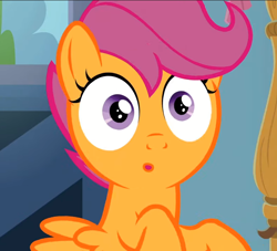 Size: 776x706 | Tagged: safe, screencap, scootaloo, pegasus, pony, g4, the last crusade, :o, cropped, cute, cutealoo, female, filly, open mouth, solo, surprised
