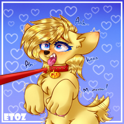 Size: 800x800 | Tagged: source needed, safe, artist:etoz, oc, oc only, oc:amber bright, dog, earth pony, pony, bust, chest fluff, collar, commission, ear fluff, heart eyes, leash, leg fluff, open mouth, pet tag, tail wag, tongue out, wingding eyes, ych result