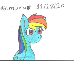 Size: 926x772 | Tagged: safe, artist:cmara, rainbow dash, pegasus, pony, g4, female, mare, simple background, solo, traditional art, wat, white background