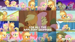 Size: 1280x721 | Tagged: safe, edit, edited screencap, editor:quoterific, screencap, applejack, cloud kicker, fluttershy, loose tracks, lucky clover, pinkie pie, spike, dragon, earth pony, pegasus, pony, bats!, g4, my little pony best gift ever, no second prances, sounds of silence, viva las pegasus, book, collage, compilation, cutie map, earmuffs, female, fire, lesbian, quill, ship:appleshy, shipping, twilight's castle