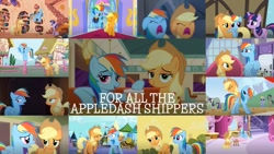 Size: 1280x721 | Tagged: safe, edit, edited screencap, editor:quoterific, screencap, applejack, bon bon, cloud kicker, coco crusoe, doctor whooves, rainbow dash, sweetie drops, time turner, twilight sparkle, earth pony, pegasus, pony, unicorn, applebuck season, castle mane-ia, fall weather friends, friendship is magic, g4, make new friends but keep discord, non-compete clause, over a barrel, rarity takes manehattan, swarm of the century, the crystal empire, the last problem, the saddle row review, bound wings, carousel boutique, castle of the royal pony sisters, collage, female, golden oaks library, lesbian, older, older applejack, older rainbow dash, ship:appledash, shipping, unicorn twilight, wings