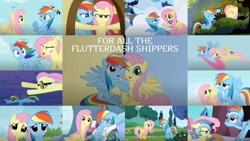 Size: 1280x721 | Tagged: safe, edit, edited screencap, editor:quoterific, screencap, fluttershy, rainbow dash, tank, pegasus, pony, a hearth's warming tail, dragon quest, flutter brutter, g4, hurricane fluttershy, may the best pet win, party of one, secret of my excess, sonic rainboom (episode), spike at your service, tanks for the memories, the crystal empire, trade ya!, armor, clothes, cloud, collage, female, fluttershy's cottage, lesbian, mare, ship:flutterdash, shipping, slippers, spread wings, tank slippers, wings