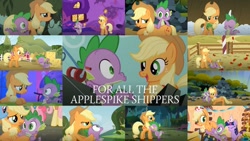 Size: 1280x720 | Tagged: safe, edit, edited screencap, editor:quoterific, screencap, applejack, fluttershy, pinkie pie, rainbow dash, spike, twilight sparkle, dragon, earth pony, pegasus, pony, unicorn, a dog and pony show, apple family reunion, fall weather friends, feeling pinkie keen, g4, princess twilight sparkle (episode), secret of my excess, spike at your service, the ticket master, book, collage, element of honesty, element of kindness, element of laughter, female, fence, fishing rod, golden oaks library, hat, hay bale, male, party hat, rock, ship:applespike, shipping, straight, unicorn twilight