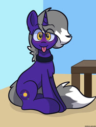 Size: 960x1280 | Tagged: safe, artist:doodle-hooves, oc, oc only, oc:astro, pony, unicorn, chest fluff, collar, cute, looking at you, ocbetes, sitting, solo, table, tongue out