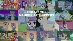 Size: 1978x1113 | Tagged: safe, edit, edited screencap, editor:quoterific, screencap, apple bloom, big macintosh, bulk biceps, cloudy quartz, cup cake, doctor whooves, grand pear, granny smith, igneous rock pie, lily, lily valley, limestone pie, marble pie, maud pie, midnight snack (g4), mudbriar, sugar belle, time turner, twilight sparkle, alicorn, earth pony, pony, a trivial pursuit, g4, my little pony best gift ever, student counsel, the break up breakdown, the maud couple, collage, female, friendship student, male, mare, petrification, rockbriar, ship:maudbriar, shipping, stallion, straight, twilight sparkle (alicorn)