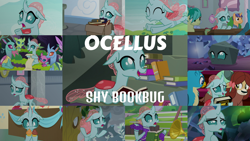 Size: 1964x1105 | Tagged: safe, edit, edited screencap, editor:quoterific, screencap, axilla, carapace (g4), gallus, lumbar, ocellus, sandbar, silverstream, spiracle, yona, changeling, earth pony, griffon, hippogriff, pony, yak, 2 4 6 greaaat, a rockhoof and a hard place, g4, marks for effort, non-compete clause, school daze, the ending of the end, the hearth's warming club, uprooted, what lies beneath, book, bookbug, cheerleader, cheerleader ocellus, collage, compilation, cupcake, disguise, disguised changeling, eyes closed, food, open mouth, rock, rockellus, scroll