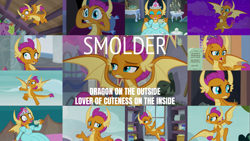 Size: 1963x1105 | Tagged: safe, edit, edited screencap, editor:quoterific, screencap, smolder, spike, dragon, g4, molt down, school daze, school raze, uprooted, what lies beneath, clothes, collage, compilation, confused, cup, dragoness, dress, eyes closed, female, jewelry, lips, open mouth, princess smolder, shocked, teacup, tiara