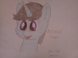 Size: 1280x960 | Tagged: safe, artist:niënor, oc, oc only, oc:mysterious science, pony, unicorn, blue skin, male, simple background, solo, traditional art, violet eyes