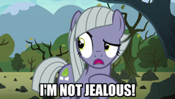 Size: 1280x720 | Tagged: safe, edit, edited screencap, screencap, limestone pie, earth pony, pony, g4, the maud couple, blatant lies, caption, female, i'm not jealous limestone, image macro, jealous, mare, meme, text